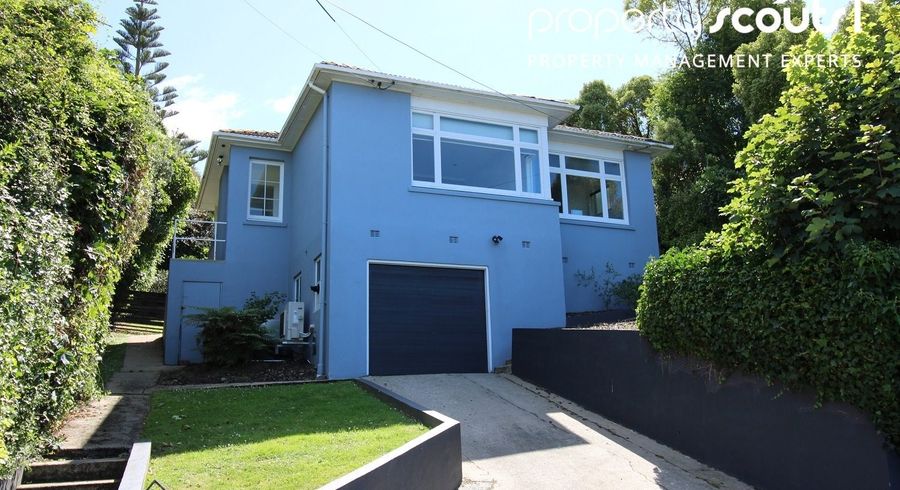  at 14 Coney Hill Road, Saint Clair, Dunedin, Otago