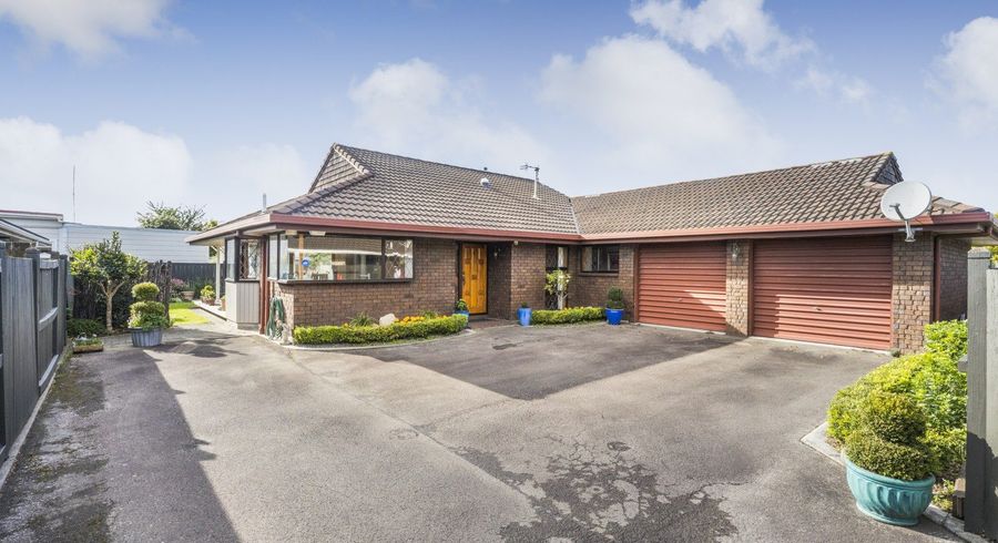  at 197 Albert Street, Hokowhitu, Palmerston North
