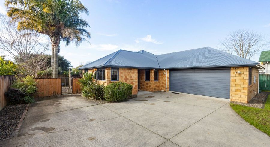  at 1042A Heaphy Terrace, Fairfield, Hamilton