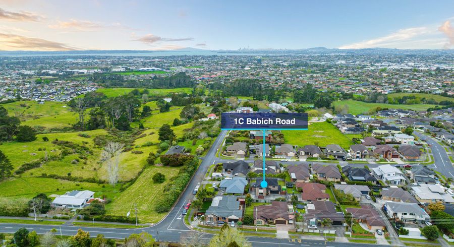  at 1C Babich Road, Henderson Valley, Auckland