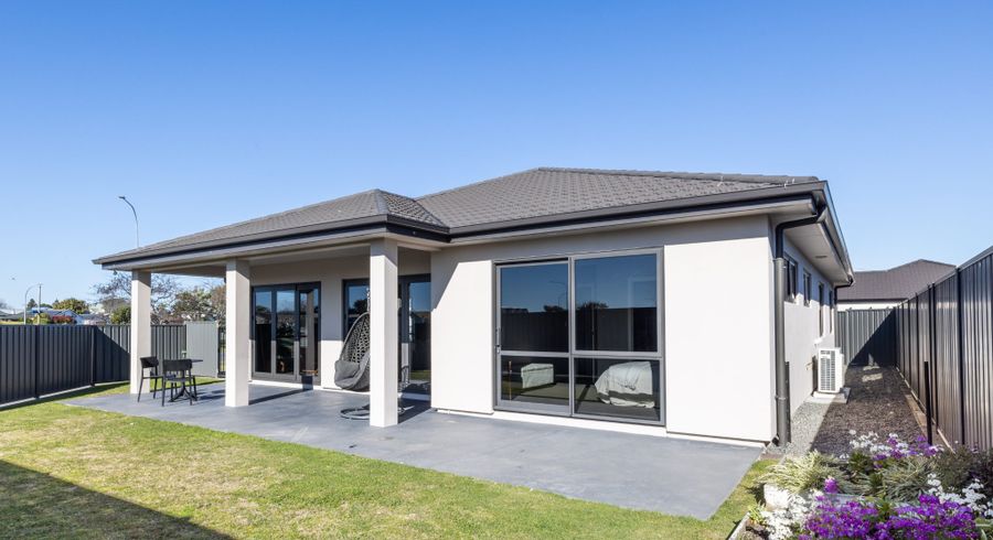  at 224 Avondale Road, Greenmeadows, Napier