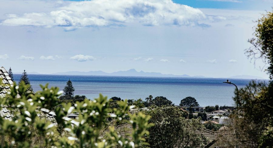  at 88 Grovenor Drive, Orewa, Rodney, Auckland