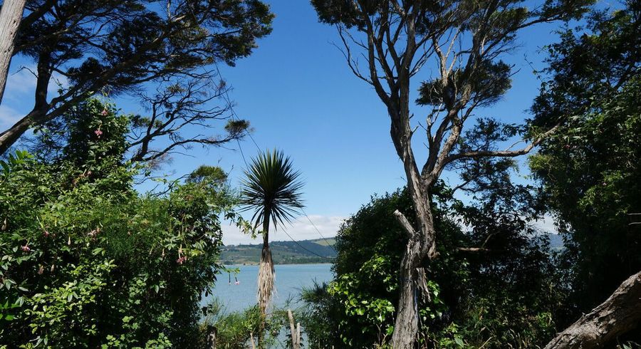  at 101 Coast Road, Warrington, Waikouaiti