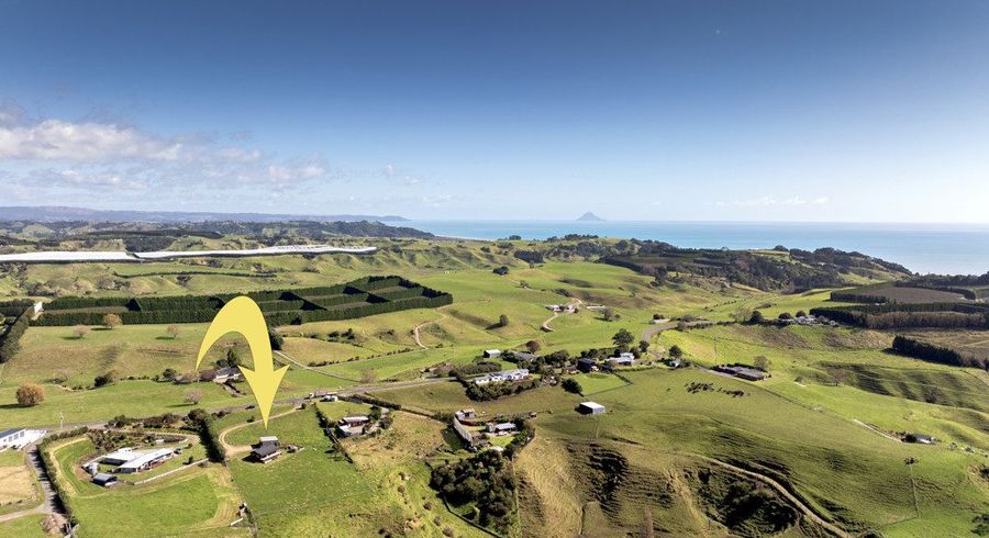  at 209 Paerata Ridge Road, Opotiki, Opotiki, Bay Of Plenty