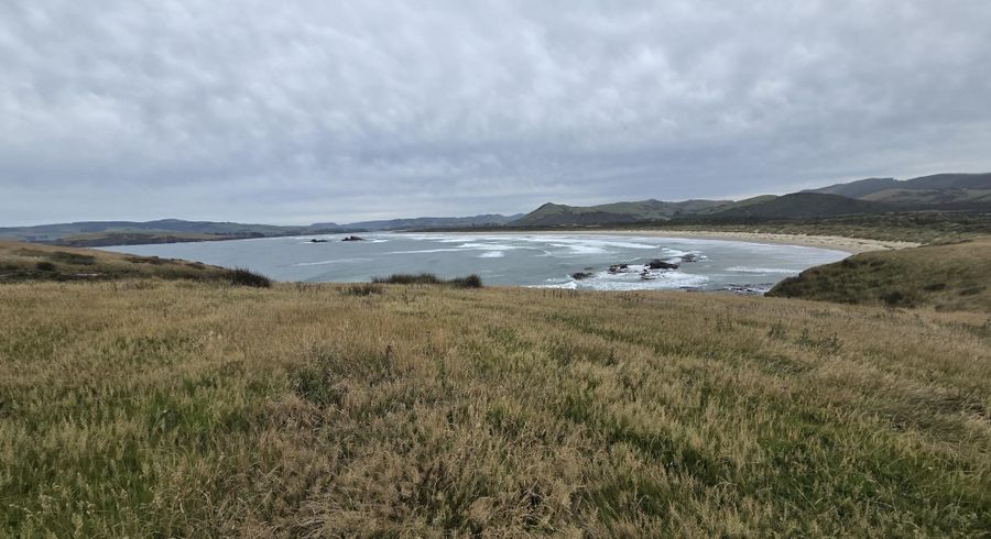  at 0 Cannibal Bay Rd, Owaka, Clutha, Otago