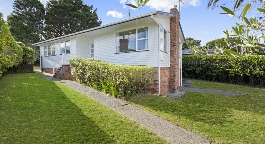  at 25 Stanaway Street, Hillcrest, Auckland