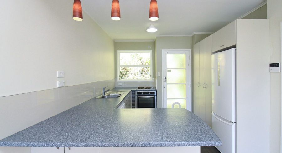  at 1/22 Mccoll Street, Vogeltown, Wellington