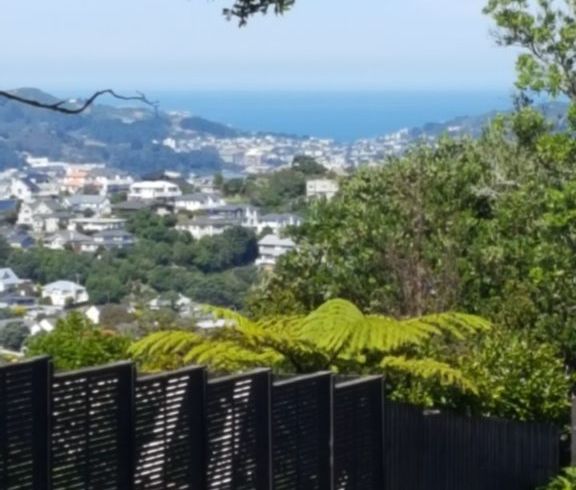  at 38 Kanpur Road, Broadmeadows, Wellington, Wellington