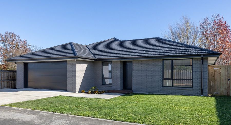  at 13 Market Street, Masterton, Masterton, Wellington