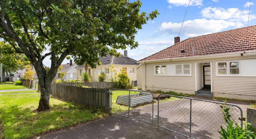  at 67 Herdman Street, Waterview, Auckland City, Auckland