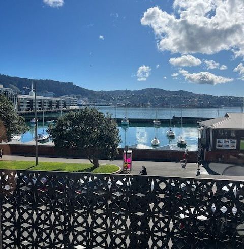  at 102A Oriental Parade, Oriental Bay, Wellington, Wellington