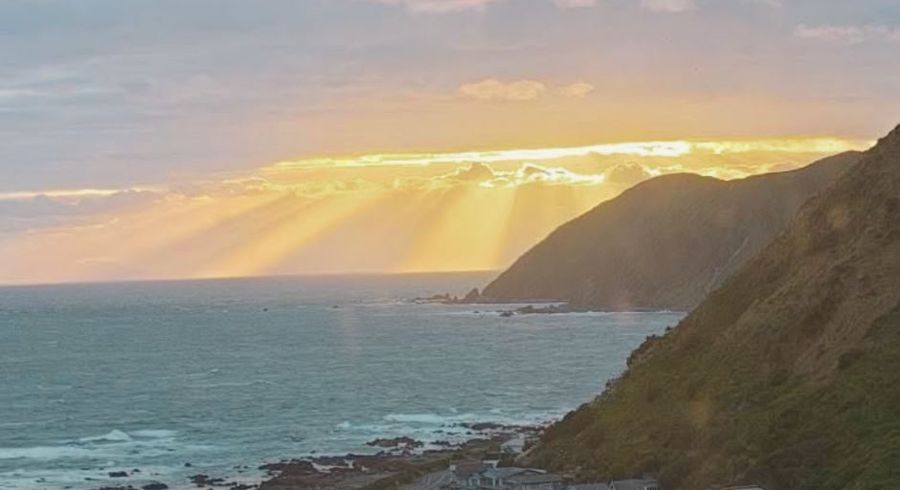  at 28 Welland Place, Island Bay, Wellington, Wellington