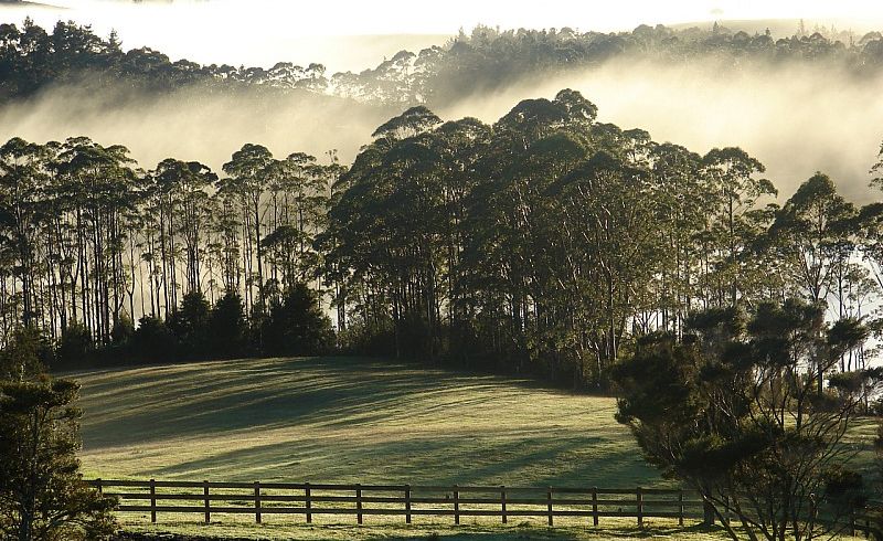  at 292 Onekura Road, Waipapa