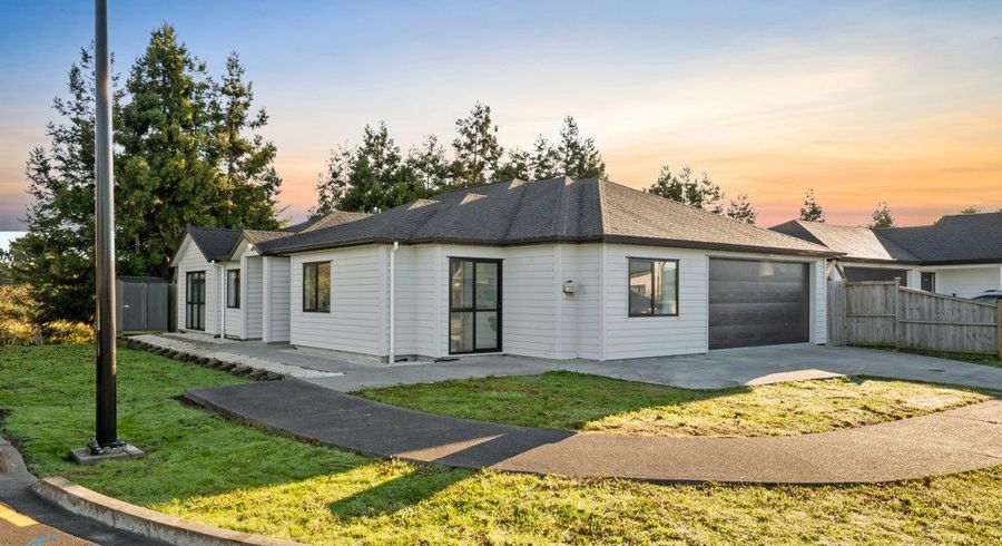  at 17 Hard Beech Street, Takanini, Papakura, Auckland