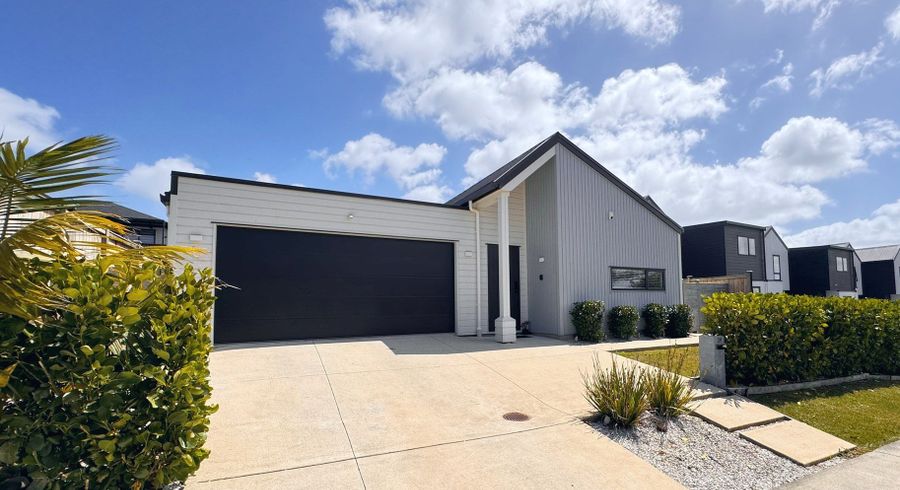  at 39 Patrick Rice Drive, Swanson, Auckland