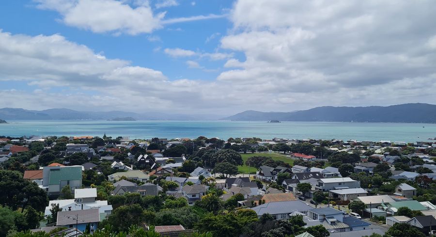  at 120 120 Inglis Street, Seatoun, Wellington, Wellington