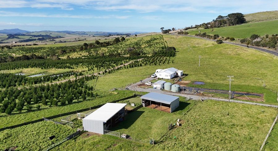  at 4478 State Highway 12, Dargaville, Kaipara, Northland