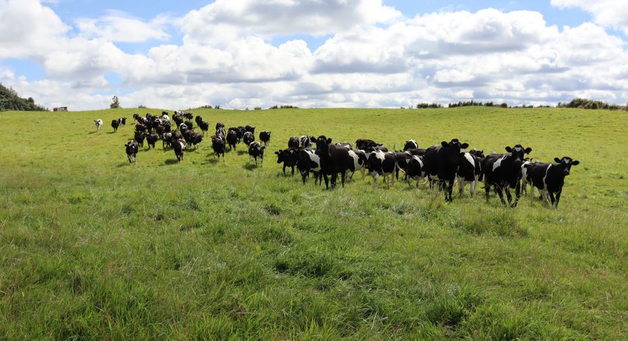  at 1 Waitaanga Road, Mokau, New Plymouth, Taranaki