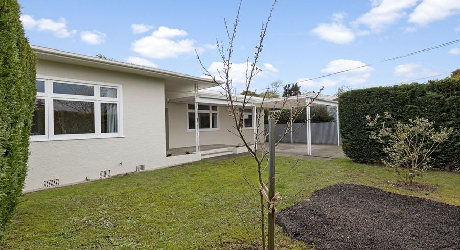  at 17 East Street, Terrace End, Palmerston North