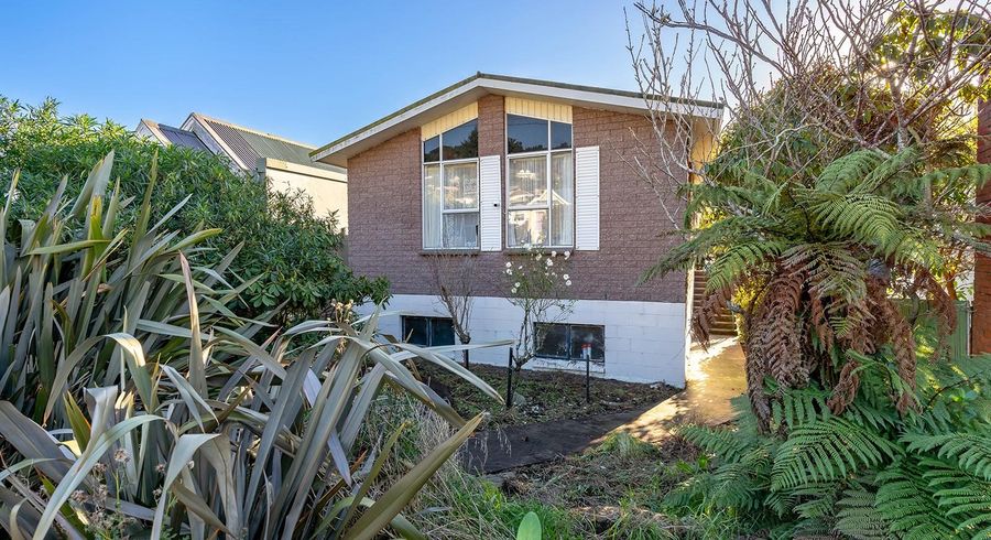  at 445 North Road, North East Valley, Dunedin