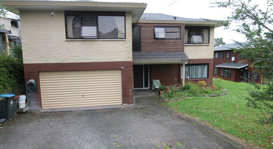  at 45 Ramelton Rd, Mount Roskill, Auckland City, Auckland