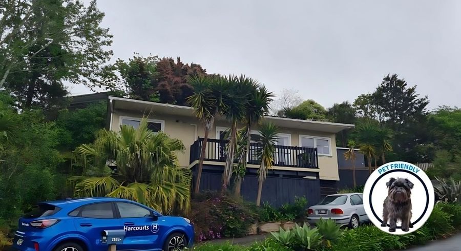  at 548 Whangaparaoa Road, Stanmore Bay, Rodney, Auckland
