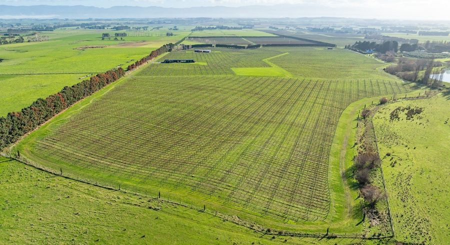  at 0 Vineyard Road, Te Kauwhata