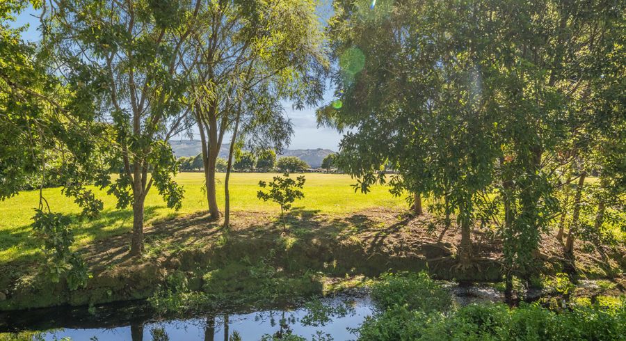  at 110 Barton Avenue, Heretaunga, Upper Hutt, Wellington