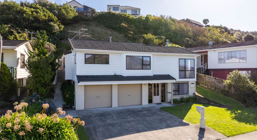  at 64 Fyvie Avenue, Tawa, Wellington, Wellington