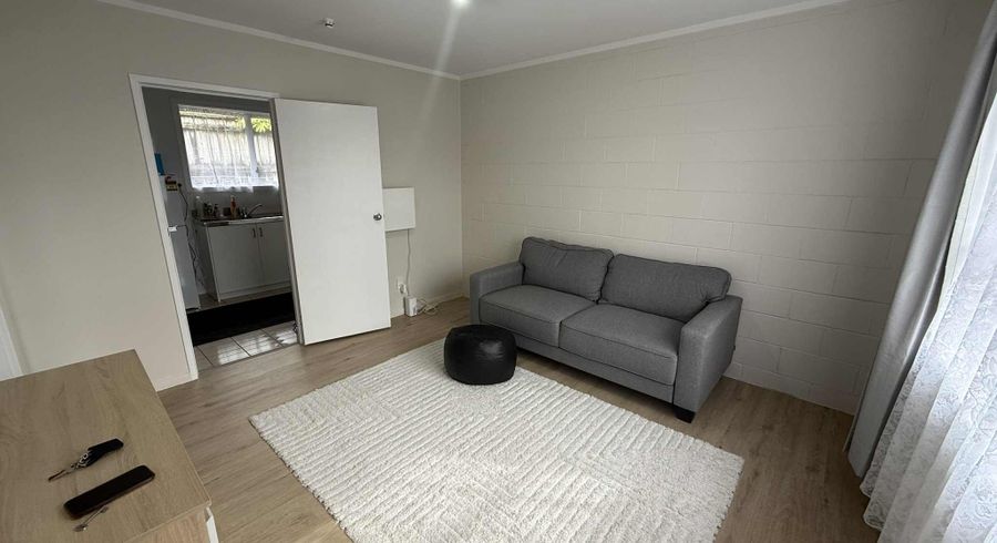  at 2/41 Willcott Street, Mount Albert, Auckland City, Auckland