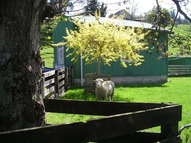  at 1130 Moonshine Road, Judgeford