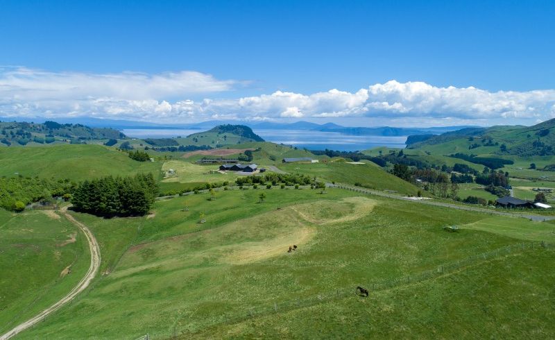 at 98 Ross Rise, Taupo