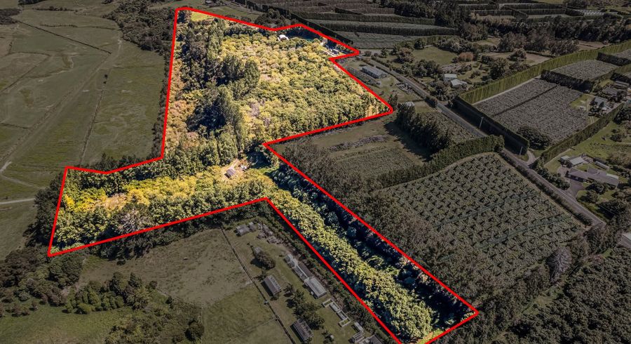  at 49 Lindemann Road, Katikati, Western Bay Of Plenty, Bay Of Plenty