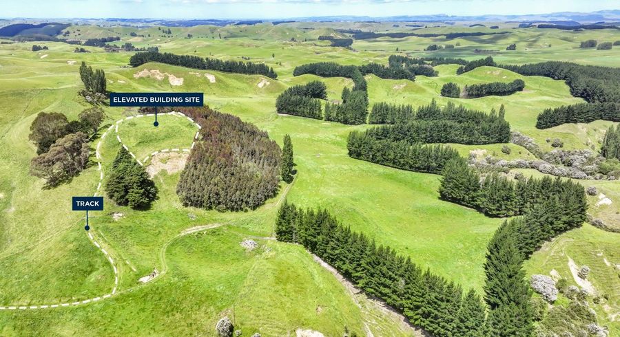  at 811 Crownthorpe Settlement Road, Crownthorpe, Hastings, Hawke's Bay