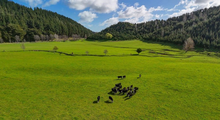  at 1584 Brunswick Road, Kai Iwi, Whanganui