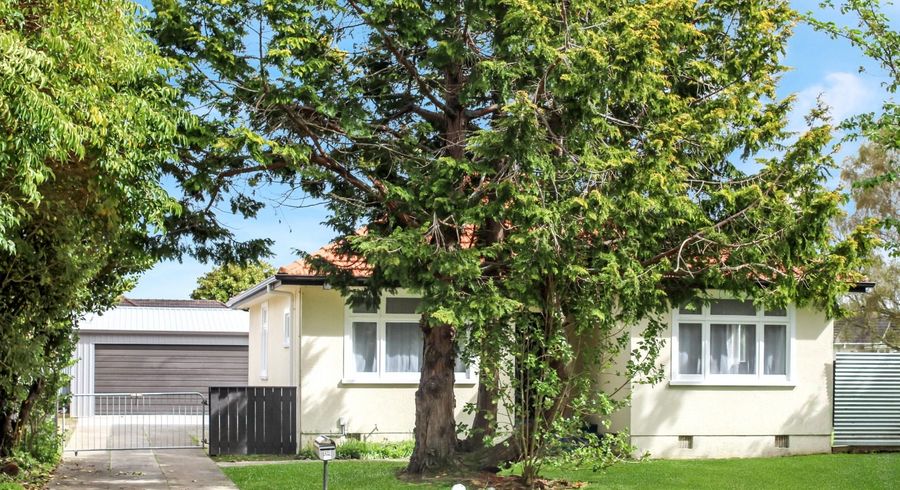  at 64 Manawatu Street, Hokowhitu, Palmerston North, Manawatu / Whanganui
