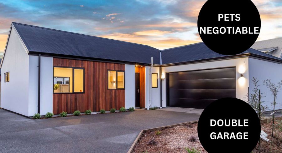  at 255a Edgeware Road, Edgeware, Christchurch City, Canterbury