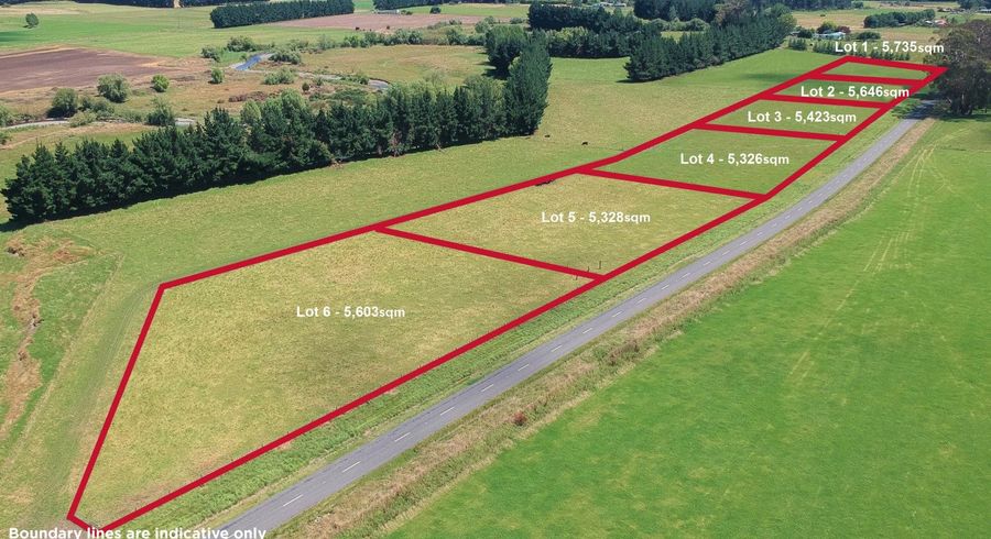  at 865 Ongaonga Waipukurau Road, Ongaonga, Central Hawke's Bay, Hawke's Bay