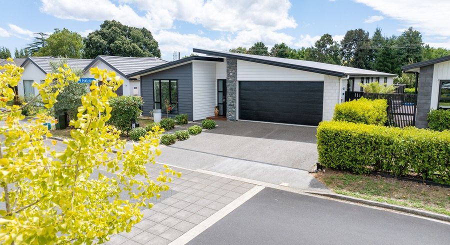  at 48 Meachem Road, Chartwell, Hamilton