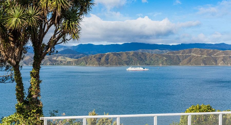 at 131 Nevay Road, Miramar, Wellington, Wellington