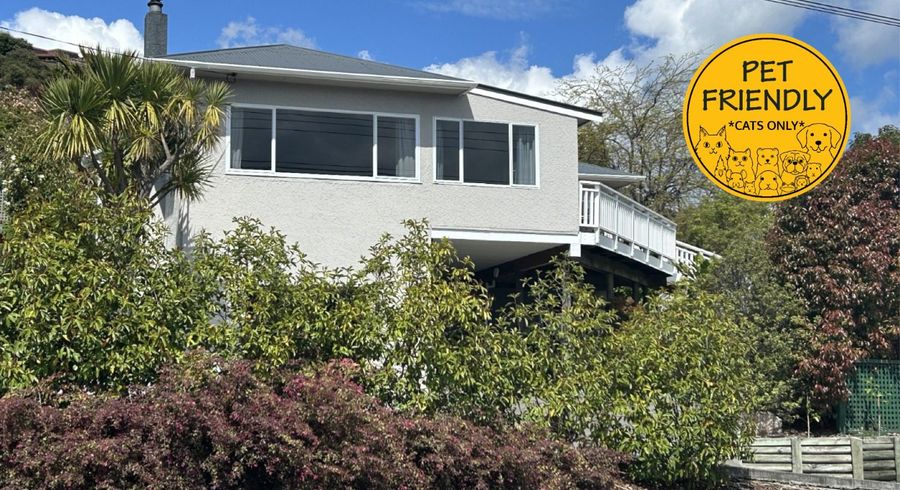  at 535 Waimea Road, Annesbrook, Nelson, Nelson / Tasman