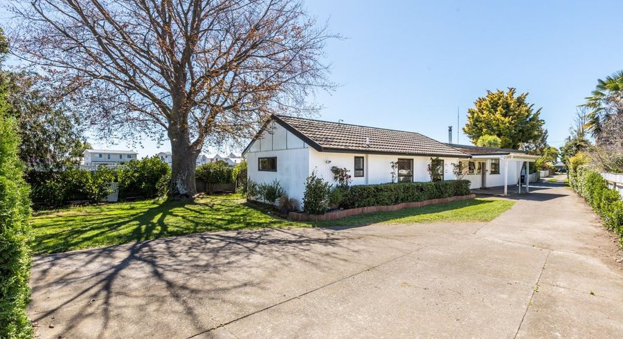  at 810 Williams Street, Mahora, Hastings