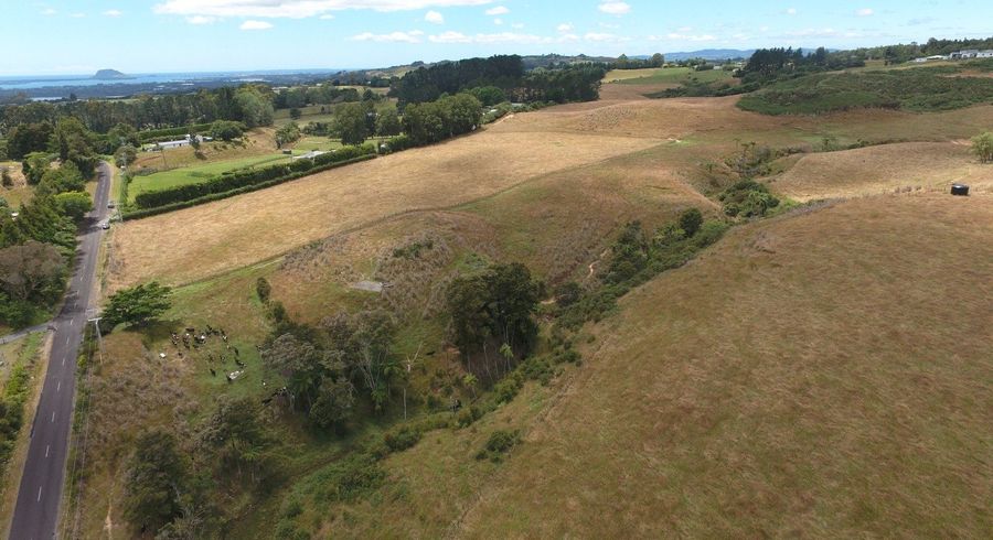  at 20 Laurel Drive, Whakamarama, Western Bay Of Plenty, Bay Of Plenty