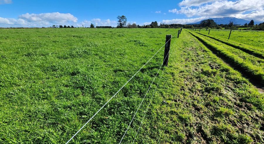 at 0n Ross Road, Tariki, New Plymouth, Taranaki