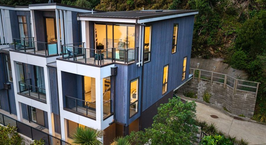  at 1C Wilkinson Street, Oriental Bay, Wellington, Wellington