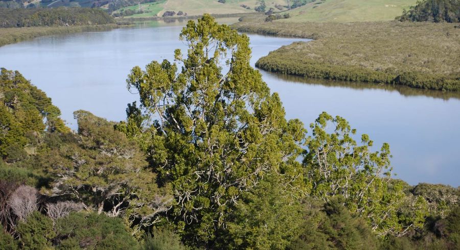  at 0 Waimanu Road, Topuni, Wellsford