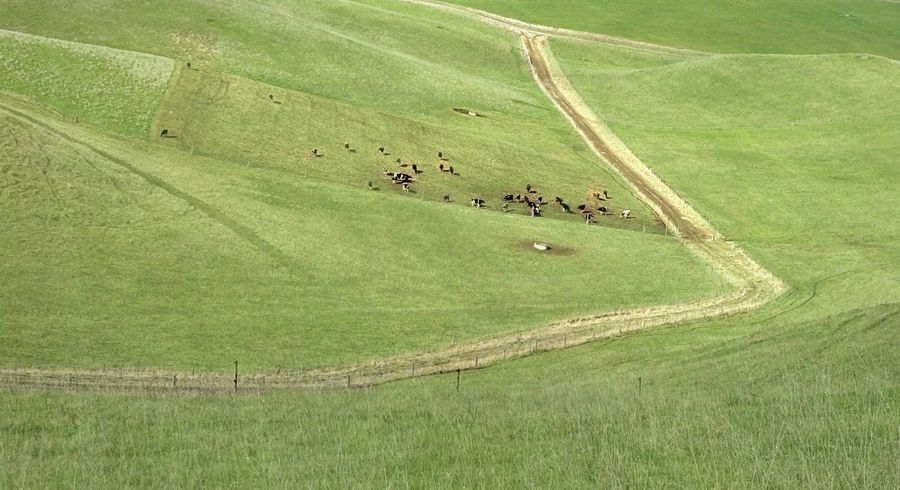  at Finlays Road, Windsor, Waitaki, Otago