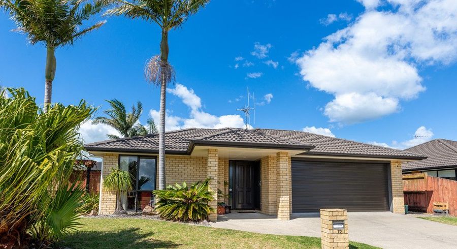  at 12 Atlantic Close, Papamoa Beach, Papamoa