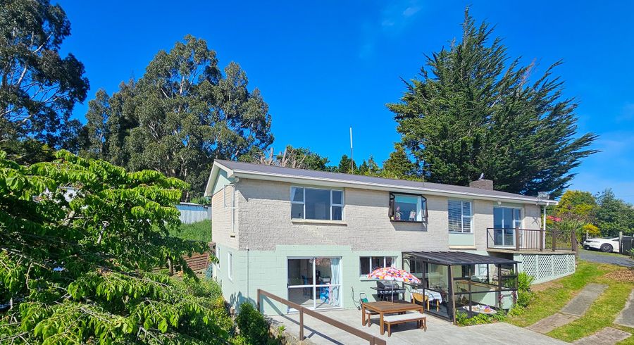  at 19 Dalrymple Street, Pine Hill, Dunedin