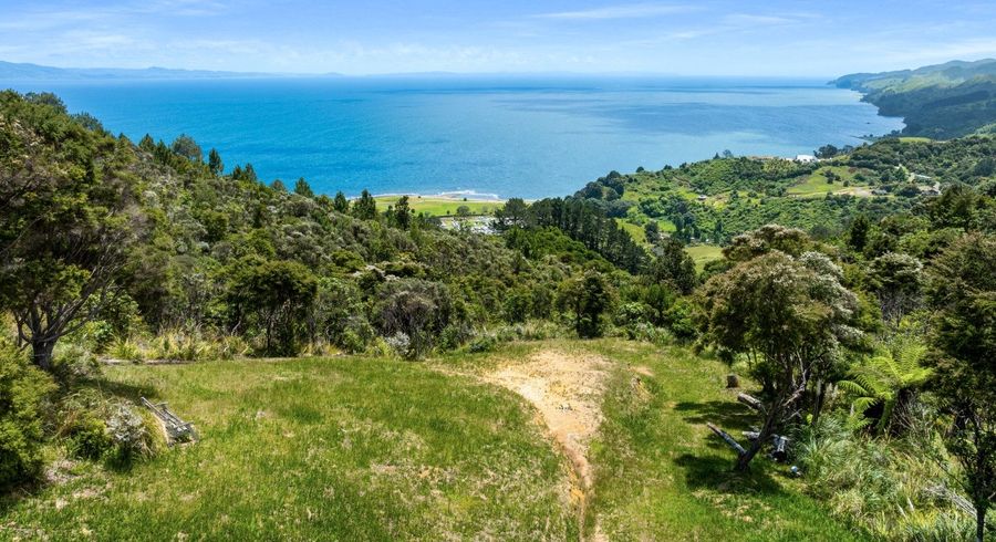  at 98 Tapu Rise Heights, Tapu, Thames-Coromandel, Waikato